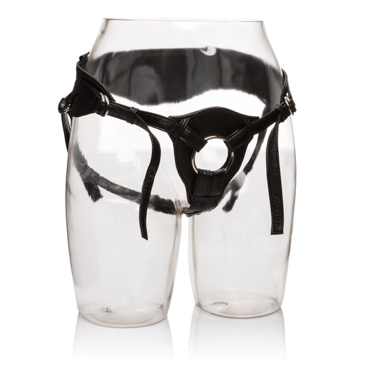 "Her Royal Harness the Queen - Boxed SE1565153"